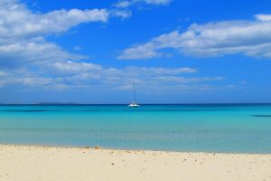 Ristorante_Vicino_Alle_Spiagge_Costa_Smeralda